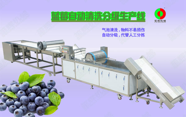 格尔木蓝莓/蔬果全自动清洗分级生产线